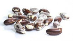Guylian Seashells - Belgisk Chokoladekonfekt
